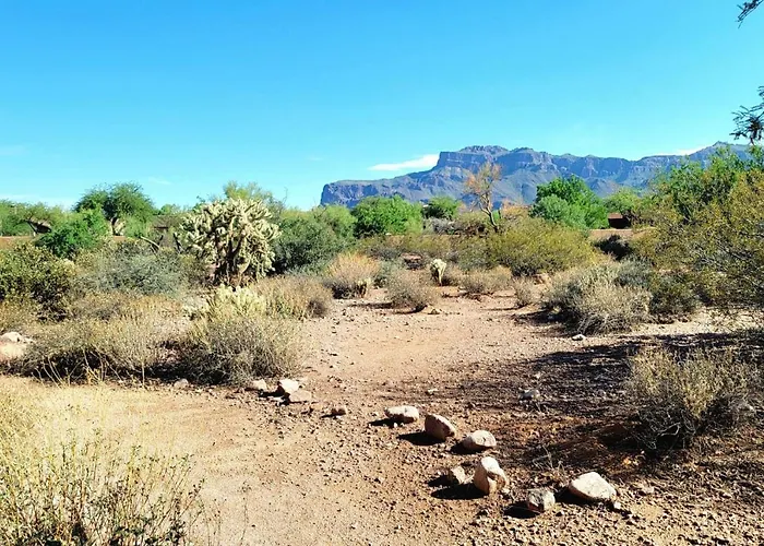 Honeysuckle Oasis Holiday home